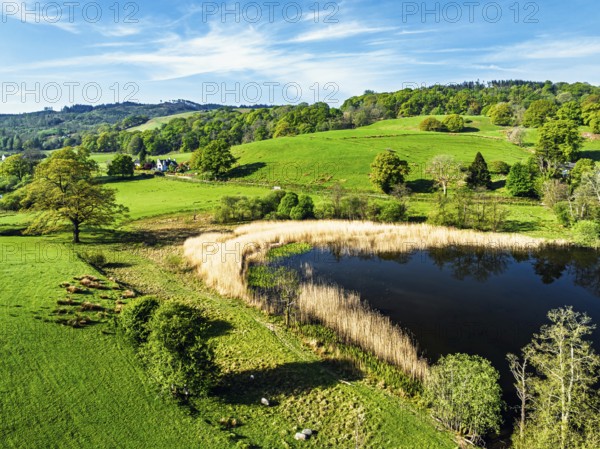Farms over Esthwaite Water from drone, Lake District National Park, Cumbria, UK