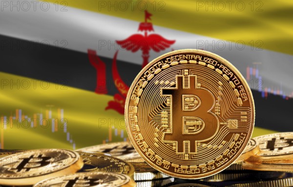 Investors in cryptocurrency and Blockchain Technology in Brunei, Concept. Bitcoin with Brunei flag in the background