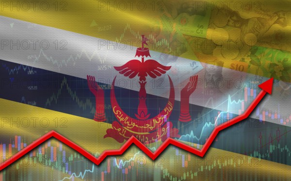 Brunei economic growth on financial graph. Brunei financial growth on market graph