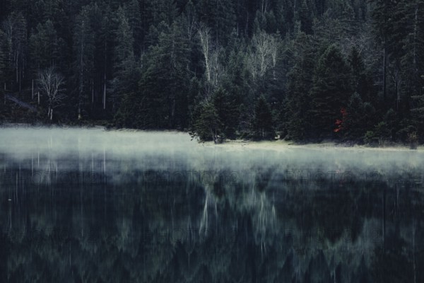 Sunrise with reflections in the Plansee in Tyrol in the Alps in Austria