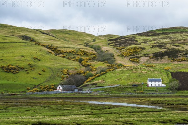 Farms over Loch Harport, Drynoch, Isle of Skye, Scotland, UK
