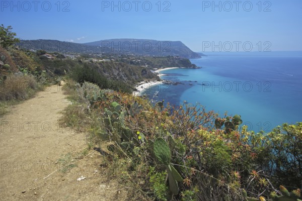 Nature trail along the coast with cacti and views of the blue sea, Ricadi, Capo Vaticano