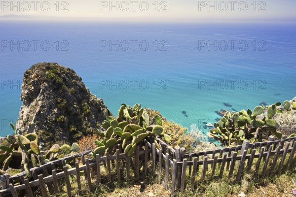 Cactus landscape with views of cliffs and the wide blue sea, Ricadi, Capo Vaticano