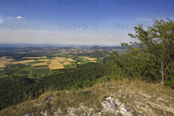 Sweeping view from the Breitenstein rock plateau over fields and hills under a clear sky, Bissingen an der Teck, Baden-Württemberg