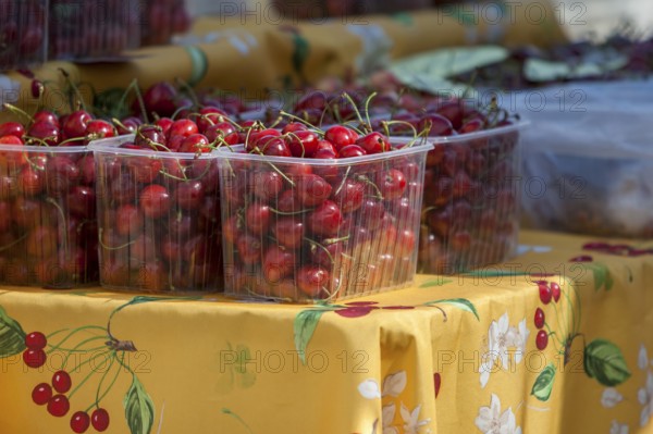 Sale of cherries, market sale, Sault, Provence, France
