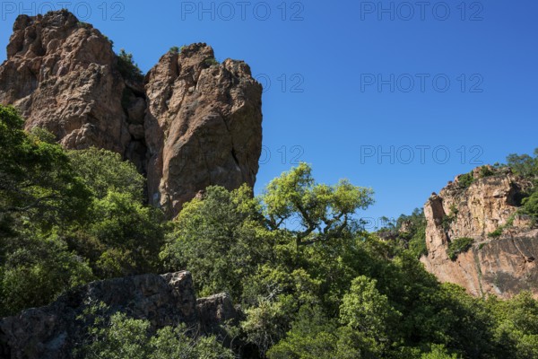 Gorge with red rocks, Gorges du Blavet, Bagnols-en-Forêt, near Saint-Raphaël, Massif de l'Esterel, Esterel Mountains, Département Var, Cote d'Azur, Provence-Alpes-Côte d'Azur, France