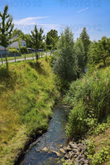 Recklinghausen, North Rhine-Westphalia, Germany - Renaturalised Hellbach, renaturalised watercourse, the Hellbach is now free of wastewater after the construction of a parallel sewer, is part of the Emscher river system and thus part of the Emscher conversion, was previously an open, above-ground wastewater channel, mixed water channel with surface water and wastewater. The renaturalised Hellbach stream strengthens the city's climate resilience, promotes biodiversity and helps to mitigate urban warming caused by climate change