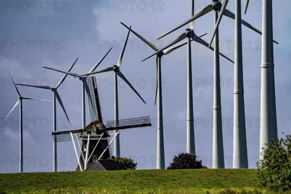 Westereems and Growind wind farms, over 80 wind turbines in total, at the Eemshaven seaport, province of Groningen, in the north-west of the Netherlands, historic Goliath windmill from 1897