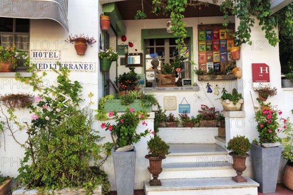 Staircase with many different flower pots, hotel entrance, Saintes-Maries-de-la-Mer, Camargue, France