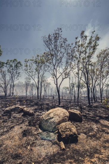 Bushfires in the Australian outback