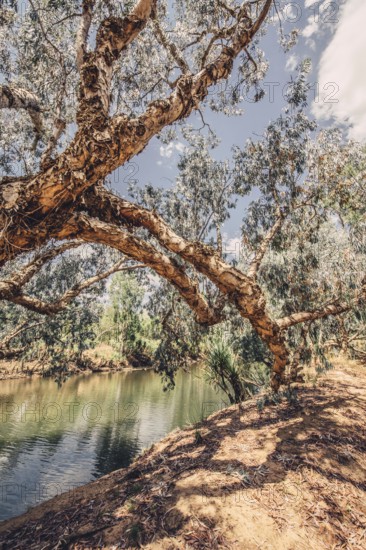 River and other waters in the outback in the north of Australia