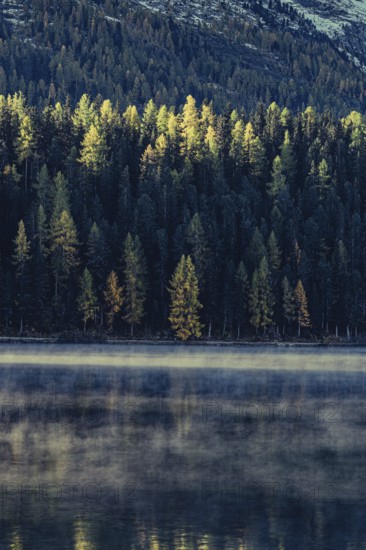 Autumn atmosphere on a cold morning in the Engadin in the Swiss Alps