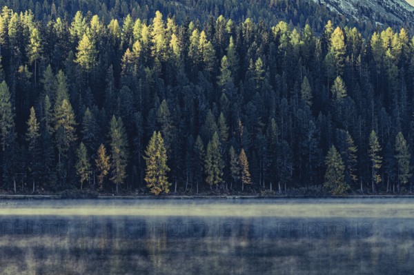 Autumn atmosphere on a cold morning in the Engadin in the Swiss Alps