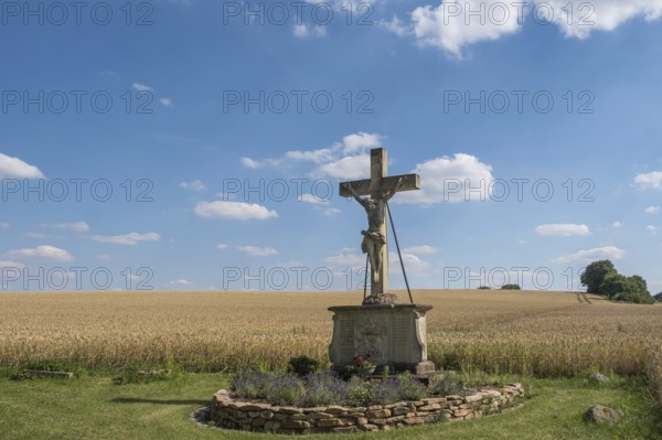 A crucifix, field cross stands in front of a grain field under a blue sky with clouds, Münsterland, North Rhine-Westphalia, Germany