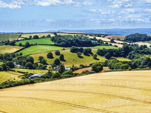 DefaultFarms and Fields over Torquay from a drone, Devon, England, United Kingdom
