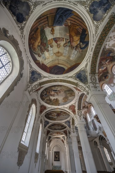 Side wing with dome paintings in St Martin's Church, Biberach an der Riß, Baden-Württemberg, Germany