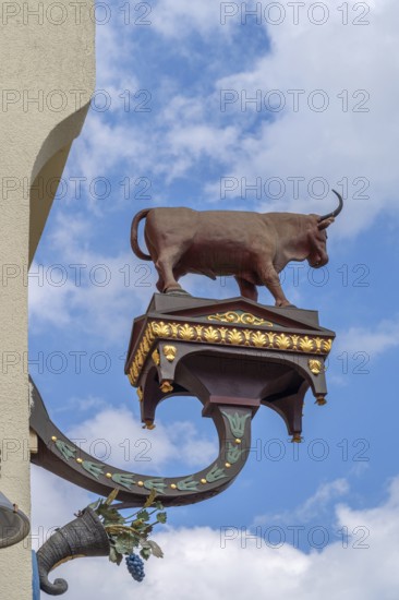 Figure of an ox, nose plate from the country inn Zum Ochsen, Biberach an der Riß, Baden-Württemberg, Germany