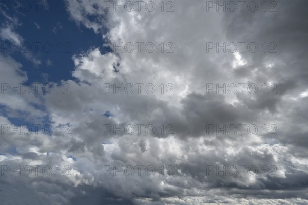 Regemwolken (Nimbostratus), Bavaria, Germany