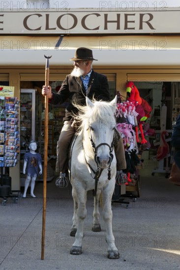 Guardian of the Camargue, traditional herdsman, rider on Camargue horse, pilgrimage, procession in Saintes-Maries-de-la-Mer, Camargue, France