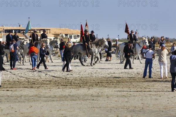 Guardians of the Camargue, traditional shepherds ride across the beach to the sea, rider on Camargue horse, pilgrimage, procession, Saintes-Maries-de-la-Mer, Camargue, France