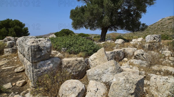 Rocky ruins and a large tree in a natural, unspoilt setting under a clear sky, Artemis Temple, Artemis, Diana, goddess of the hunt, altar. Church, tower, near the airport in the north of the island, Leros, Dodecanese, Greek Islands, Greece