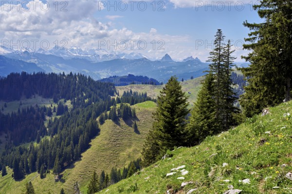 View from the small Aubrig to the small and large Mythen and Alps, Wägital, Canton Schwyz, Switzerland