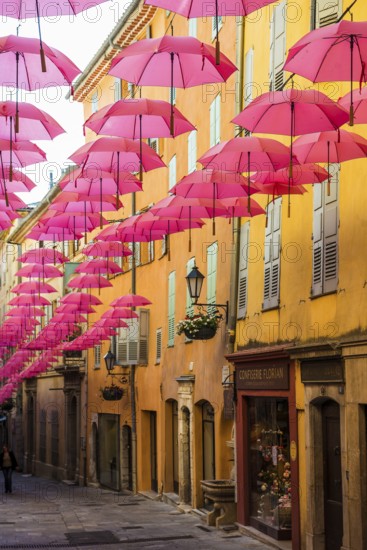 Picturesque alley in the old town, Grasse, Alpes Maritimes, Provence Alpes Cote d'Azur, French Riviera, South of France, France