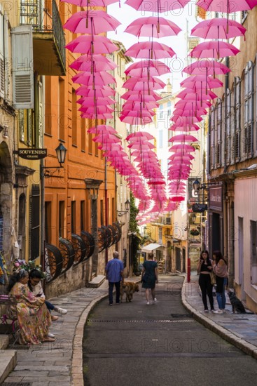 Picturesque alley in the old town, Street Art, Grasse, Alpes Maritimes, Provence Alpes Cote d'Azur, French Riviera, South of France, France