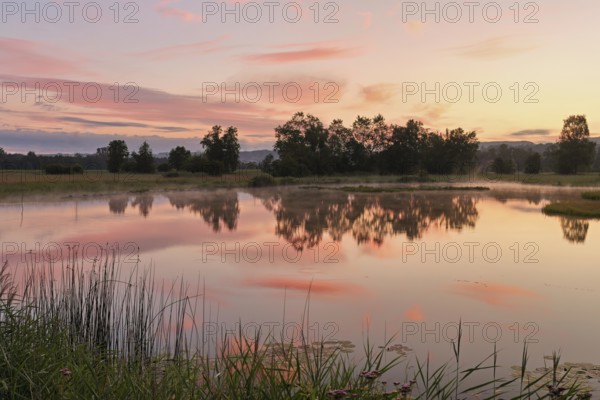 Morning atmosphere at a pond in the Schoren nature reserve, Mühlau, Freiamt, Canton Aargau, Switzerland