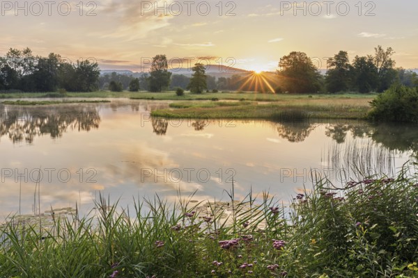 Sunrise at a pond in the Schoren nature reserve, Mühlau, Freiamt, Canton Aargau, Switzerland