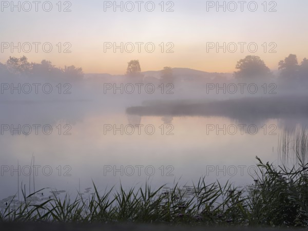 Pond in the fog at dusk in the Schoren nature reserve, Mühlau, Freiamt, Canton Aargau, Switzerland