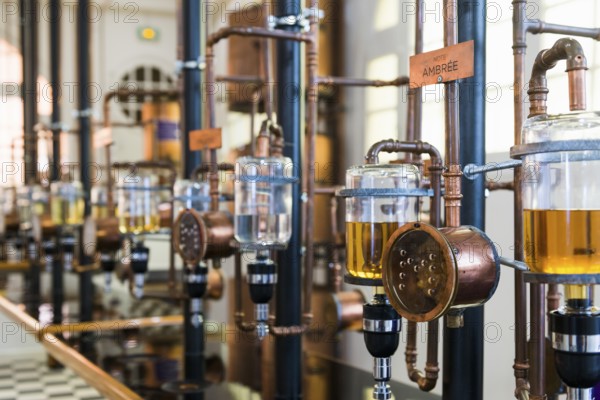 Interior view, Perfumery Molinard, Perfume manufacturer, Grasse, Alpes Maritimes, Provence Alpes Cote d'Azur, French Riviera, South of France, France