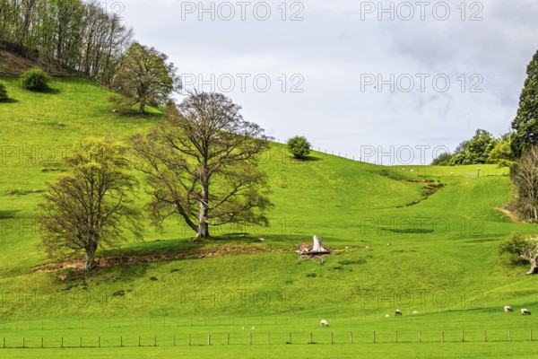 Farms, Ullswater Lake, Lake District National Park, Cumbria, England, United Kingdom