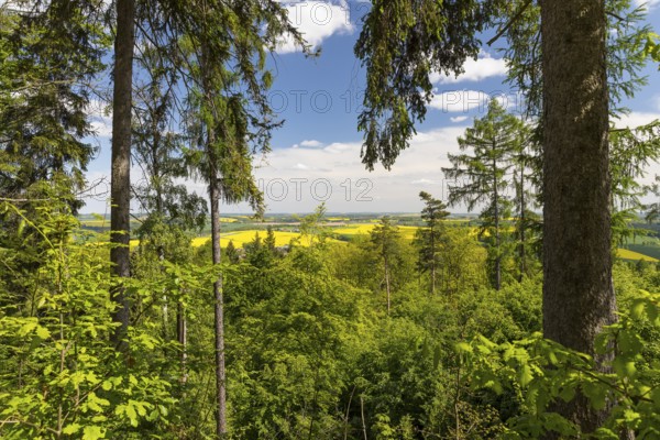 On the porphyry nature trail over the Rochlitz mountain, former panoramic view from the Seidel quarry, historic quarries, Rochlitz, Saxony, Germany