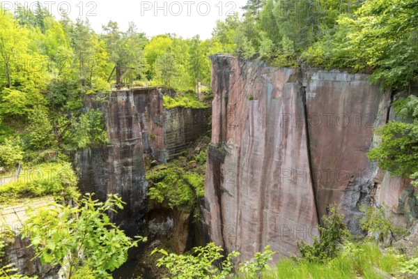 On the porphyry nature trail, Gleisberg quarry with number wall, historic quarries on the Rochlitzer Berg, Rochlitz, Saxony, Germany