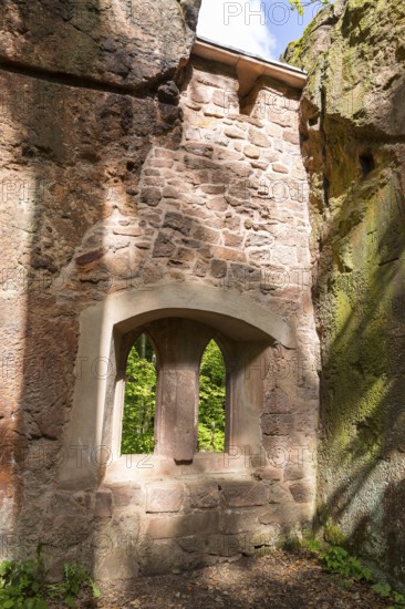 On the porphyry nature trail over the Rochlitzer Berg, so-called hermitage in the Seidelbruch, historic quarries, Rochlitz, Saxony, Germany