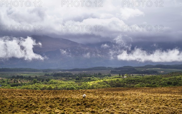 Nevis Range Mountains from Commando Memorial, Grampian Mountains, Fort William, Highland, Lochaber, Scotland, UK