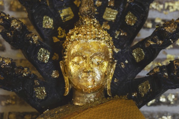 Buddha decorated with gold leaf, meditating under the protection of a seven-headed Naga snake, Phra Borommathat Mada Cedi, in Wat Prayurawongsawas Worawihan, Bangkok, Thailand