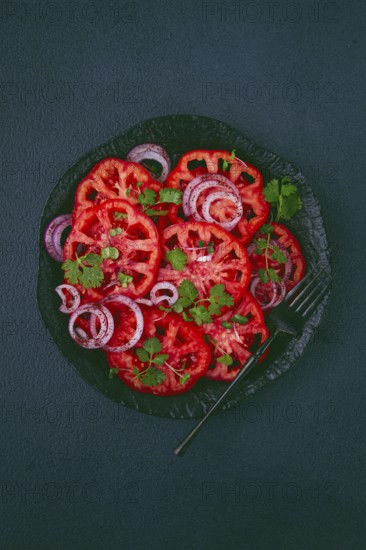 Freshly sliced tomatoes and red onions, garnished with herbs, on a black plate, summer salad, no people