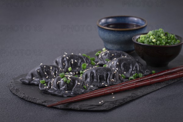 Japanese gyoza dumplings, made of black dough, black gyoza, with green onions and sauce, on a plate, close-up