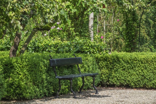 Park bench stands on a gravel path in front of lush green bushes and trees, Borg Verhildersum, Leens, province of Groningen, Netherlands