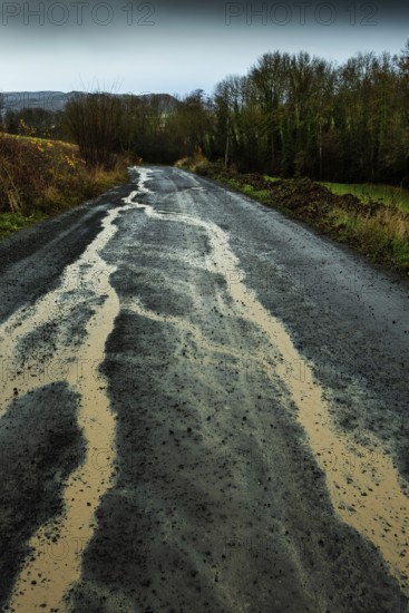 A winding rural road shows signs of heavy rain, with puddles forming along its surface. Puy de Dome. Auvergne Rhone Alpes. France