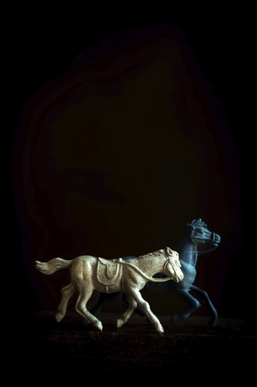 Two toy horses are captured in motion, one galloping energetically while the other walks gracefully. The contrast of colors and dark backdrop enhances the playful scene