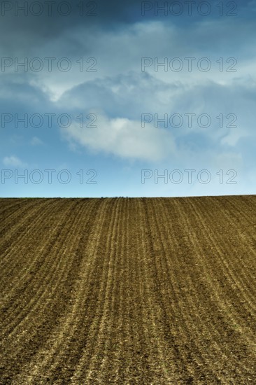 A plowed field displays parallel lines of tilled soil, stretching towards a vast blue sky adorned with fluffy white clouds. Puy de Dome. France