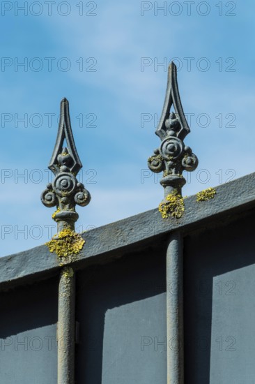 An iron fence with intricate finials stands against a bright blue sky, showcasing yellow-green moss growing on its surface, indicative of age and exposure to the elements. France