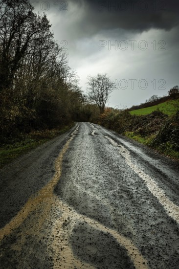 A winding country road stretches through a dense landscape, marked by tire tracks in the wet mud. Dark clouds loom overhead, hinting at a stormy atmosphere, while trees border the path. Auvergne. France