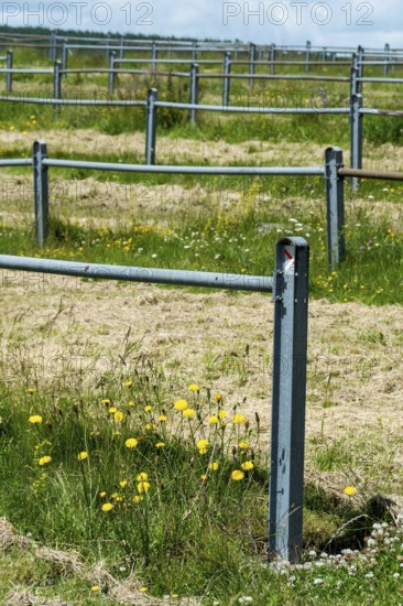 This rural landscape showcases a large open field bordered by blue metal fencing. Puy de Dome, Auvergne, France