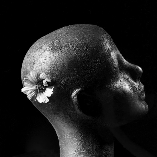 A sculpted head features an abstract form and textured surface, with a delicate flower delicately positioned behind the ear, contrasting beautifully against a dark background