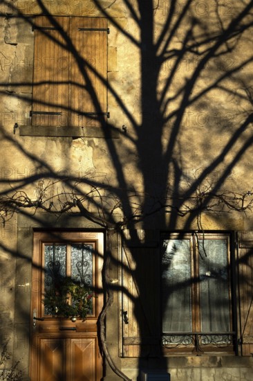A tree's intricate shadows dance on an aged stone wall, creating a striking contrast with a rustic wooden door. The warm light enhances the rich textures of the scene France