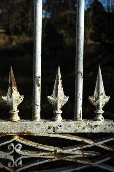A close view of a vintage iron gate featuring decorative spikes, showcasing rust and wear over time. The backdrop reveals a tranquil environment with soft lighting. France